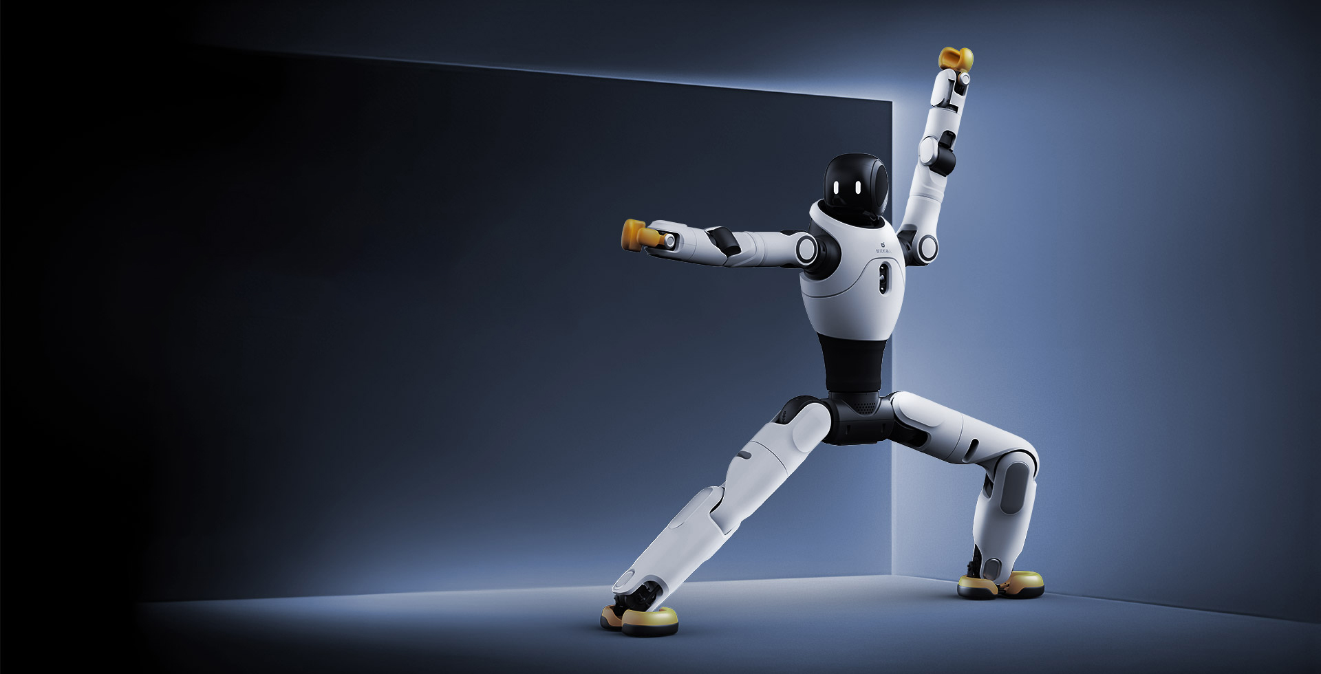 304am永利灵犀 X2